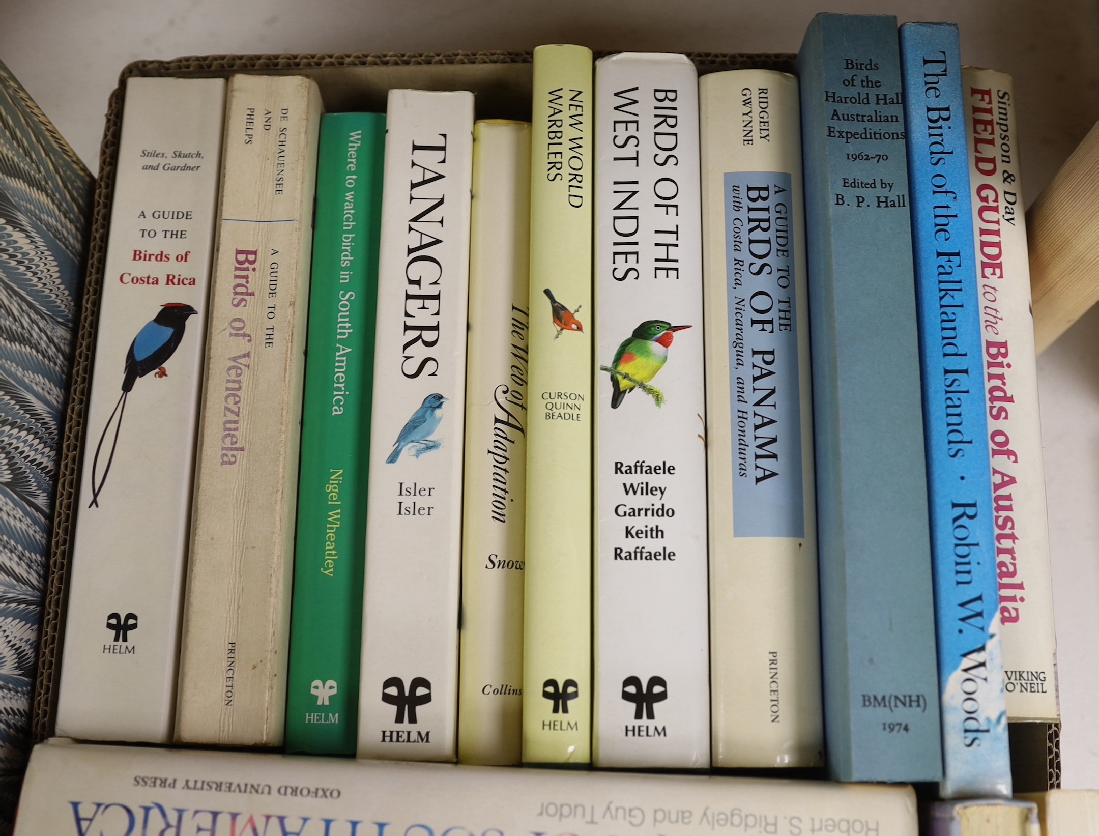 Stiles, F. Gary & Skutch, Alexander F. - A Guide to the Birds of Costa Rica, coloured plates and other illus.; pbk, thick 8vo. 1989; Raffaele, Herbert & Others - Birds of the West Indies. 86 coloured plates and other ill